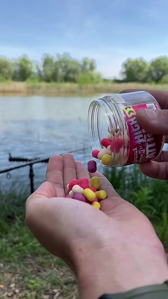 Best Fishing Bait for Every Season Expert Tips & Tricks!