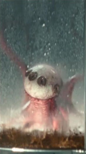 Alien earth #scenes #horror #tvshow #alien #alienearth #bodyhorror #alien1979