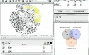 Cytoscape教程视频