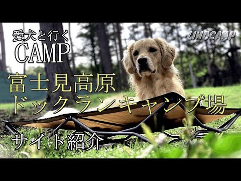 【キャンプ場紹介】愛犬と行く富士見高原ドックランキャンプ場/愛犬の笑顔が溢れるキャンプ場