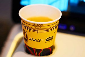 【ANA搭乗記】722の普通席バルクヘッド(たくあんジェット) - 弾丸トラベルは怖くない!