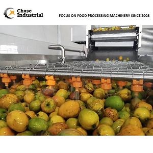 [Hot Item] Chase 150kw Standard Ocean Packing Fruit Juice Processing Line Mango Machine