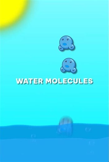 THE HIDDEN SCIENCE OF OCEAN COLOUR #science #oceanfacts