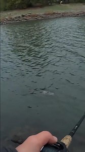 Musky Eat at My Feet #fishing #muskyfishing #fish