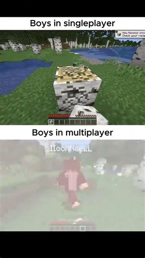 FR 😹 #meme #Minecraft #shorts #Gaming