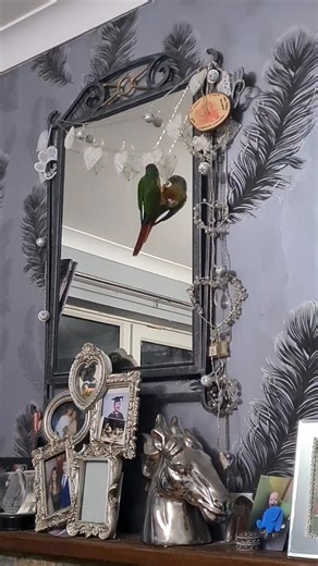 Hmmmm ... really Mario .. 🤣🤣 Was this such a good idea 🤣🤣 He's going to end up saying a few swear words 🤣🤣🤣 | Wendy Evans