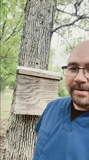 Honey Bee Swarm #1 for the 2025 Season.