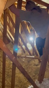 14M views · 474K reactions | The ending kills me  Who can relate?! If you love home projects and impulsive DIY’s, follow along! ‍♀️ #natebargatze #houseproject #diyhomeprojects #homeimprovement #homeownerlife #womenwhobuild #chickswithpowertools Okay but ps griff is actually really handy  | It's Honey Done | Facebook