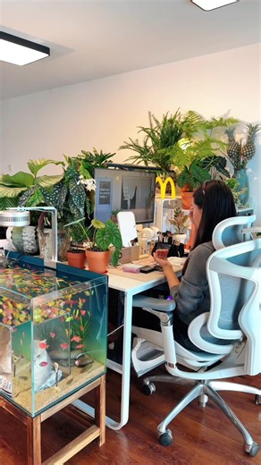 Exploring My Charming Desktop Aquarium