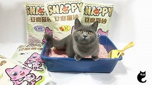 140K views · 59 reactions | This is not your average tofu cat litter – in fact this dust free, hypo-allergenic natural litter keeps surfaces clean and perfect for families who suffer from allergies. It also forms hard and small clumps that don’t break down easily, making scooping a breeze! Intrigued? Watch the video to see how it works! :> Convinced? Shop Snappy @ 6 for $39 now!: https://tinyurl.com/snappy-tofu | CatSmart | Facebook