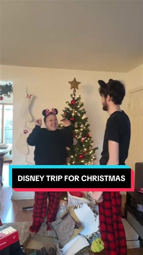 Magical Disney World Christmas Trip Surprise