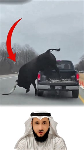 لا تبحث عن الحرية بالمخاطرة فالهروب الأعمى لا يمنحك الخلاص👀😱😰#explore #like #shorts