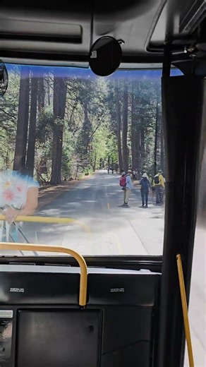 Yosemite National Park- Singing Bus Driver- Anthony! #california