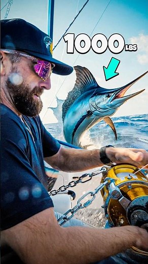 INSANE BATTLE WITH 1000lb FISH!