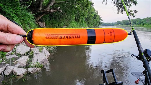 Bobber fishing for giant fish (full moon fishing)