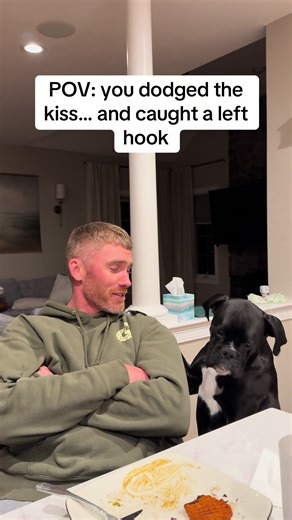 Boxer pups don’t take rejection well. Knox straight up said - “Dad you rejected my kisses, meet my left paw.”