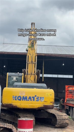 Exciting Heavy Equipment Rentals for Young Operators