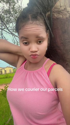 Courier Services for Parcels in South Africa