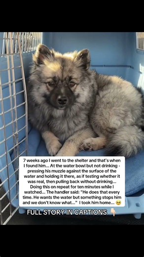 Read the story in captions