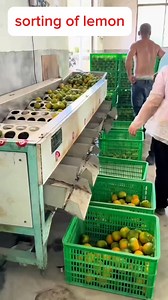 #galing ng machine Pinipili ung malaki At maliliit | Oscar Padero