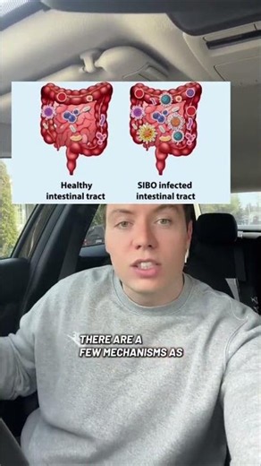 Why You Bloat Right After Eating (The Real Gut Health Reason Explained)