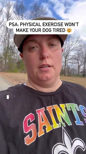 Jess | Virginia Dog Trainer on TikTok