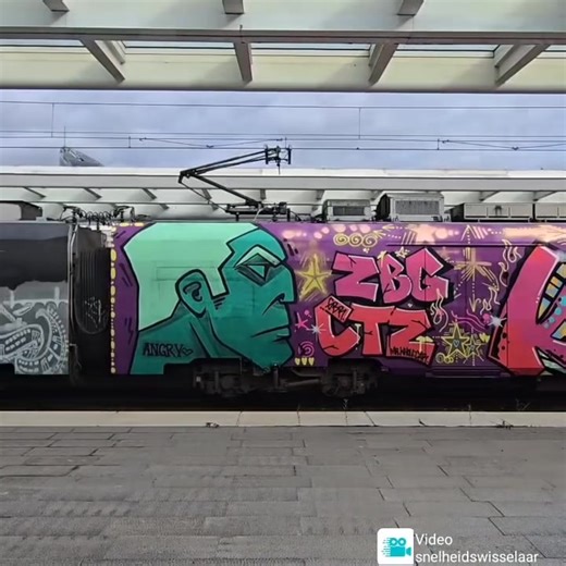 # #Paintedtrains #trainart #traingraffiti #trainbombing #graffitiontrains #trainwriting #graffitiporn #graffitiart #belgianblogger | Painted Trains