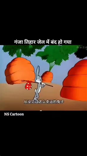 Hilarious Moments in the Cartoon World