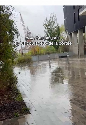 Retrouvailles émouvantes avec Poppy, le cocker bébé