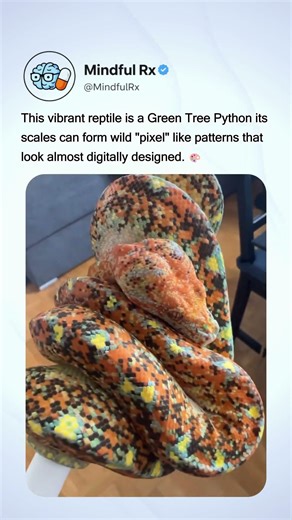 This Python Looks Like It Came From a Video Game 🐍