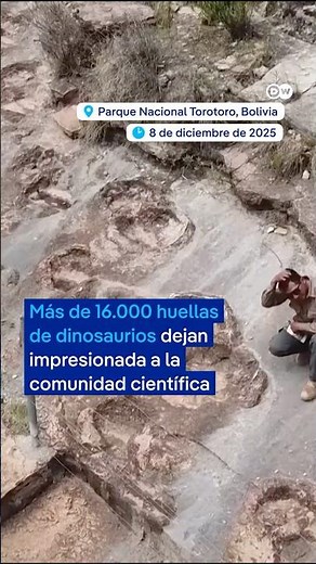 Descubren el mayor yacimiento de huellas de dinosaurios del mundo en Bolivia