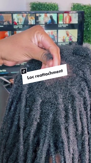 TikTok - Make Your Day