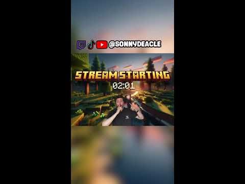 Catching hackers on sunnysmp.net (Portrait)