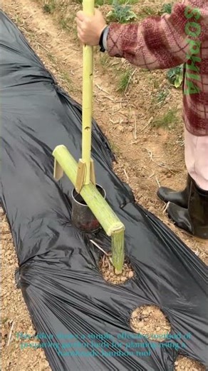 Handmade Bamboo Tool for Planting
