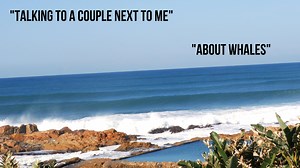 18K views · 238 reactions | I couldn’t believe my eyes — just off the...