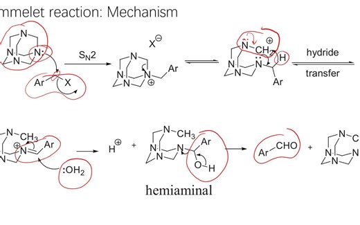 有机人名反应（246）：Sommelet reaction