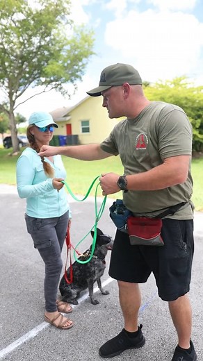How to use the leash for corrections DIYK9.COM #bite #cute #dog #doggo #doglovers #dogoftheday #dogs #dogsofinstagra | Pet Dogs
