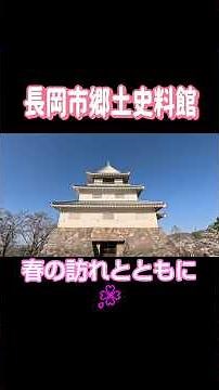 【新潟 観光】 悠久山公園内の桜満開🌸 長岡市郷土史料館 絶景スポット ✨ 桜満開🌸