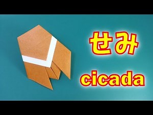 折り紙 夏 簡単！セミの折り方 / Origami easy! How to fold the paper cicadas summer