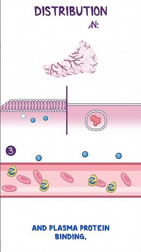 Clinical Cuts: Pharmacokinetics, Drug Absorption (Pt. II) | USMLE Pharmacology
