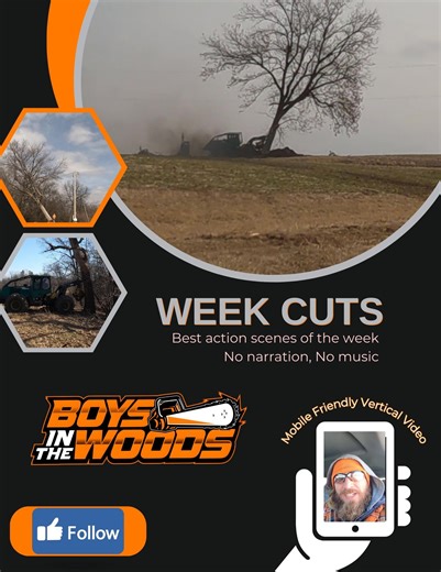 The best logging action scenes of the week. No Music and no narration. Just the best tree cutting scenes from this week | Boys In The Woods