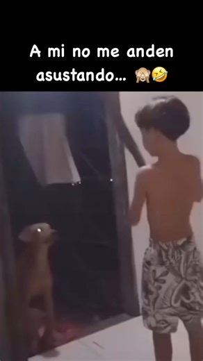 3.9M views · 53K reactions | 藍 | Not My Problem | Facebook