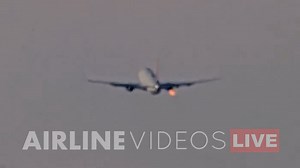 291K views · 2.1K reactions |  Happening now at LAX! A Delta Air Lines Boeing 737-800 operating flight 2606 to Seattle struck a bird on takeoff from runway 24L and declared an emergency, returning safely to the airport. The aircraft landed without issue and taxied to the gate. All captured live on the 24/7 Airline Videos Live broadcast. #airlinevideos #airlinevideoslive #aviation #aviationdaily #airplanes | AIRLINE VIDEOS | Facebook