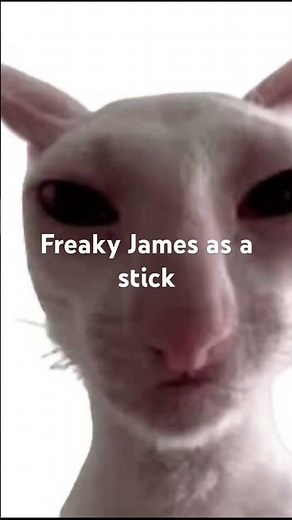 Season 1 episode 3: the search begins