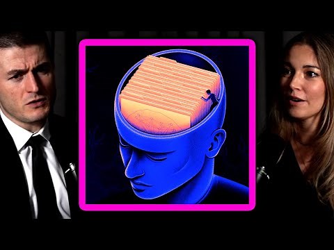 False memories explained by criminal psychologist | Julia Shaw and Lex Fridman