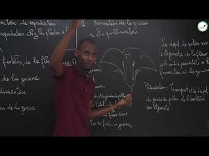 Course - Fifth - SVT: reproduction in flowering plants / Continued 1 / M. DIALLO