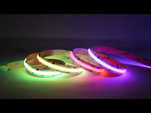 Toning Digital Pixel RGB+W COB LED Strip Light