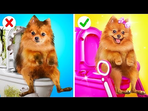 WOW😍 I SAVED THIS LITTLE PUPPY!🎀 Fantastic Hacks for Pet Owners* by 123GO