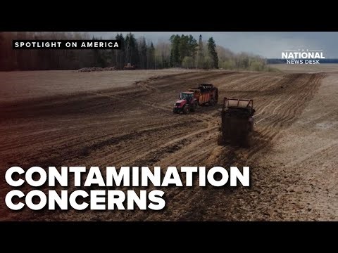Dead livestock, lost farms and PFAS: Why pressure is mounting to rein in toxic sludge