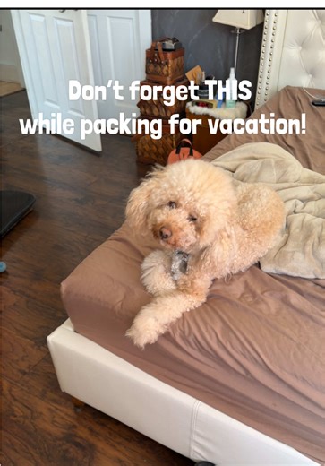 Smell expensive without saying a word ✨💎 J’adore perfume = soft, feminine, luxury vibes that turn heads EVERY time 💁‍♀️ One spray and you’re unforgettable >> Tap the cart to elevate your signature scent NOW before it sells out 🔥 #perfume #jadore #luxuryfragrance #smellgoodfeelgood #feminineenergy